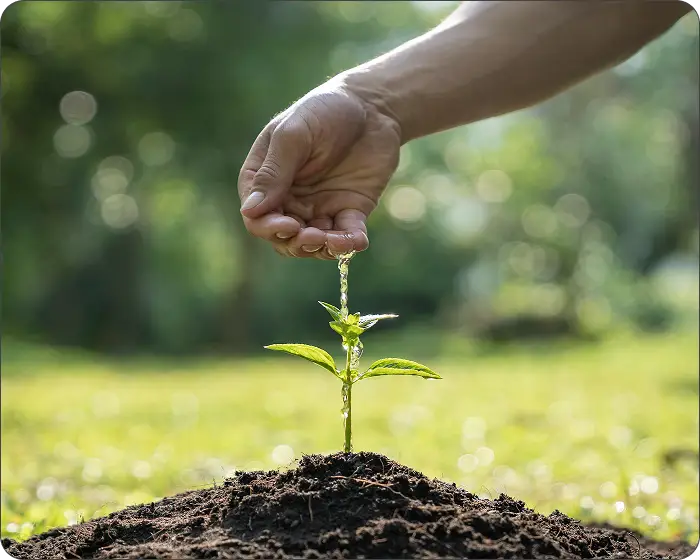 Plant Automation Agents